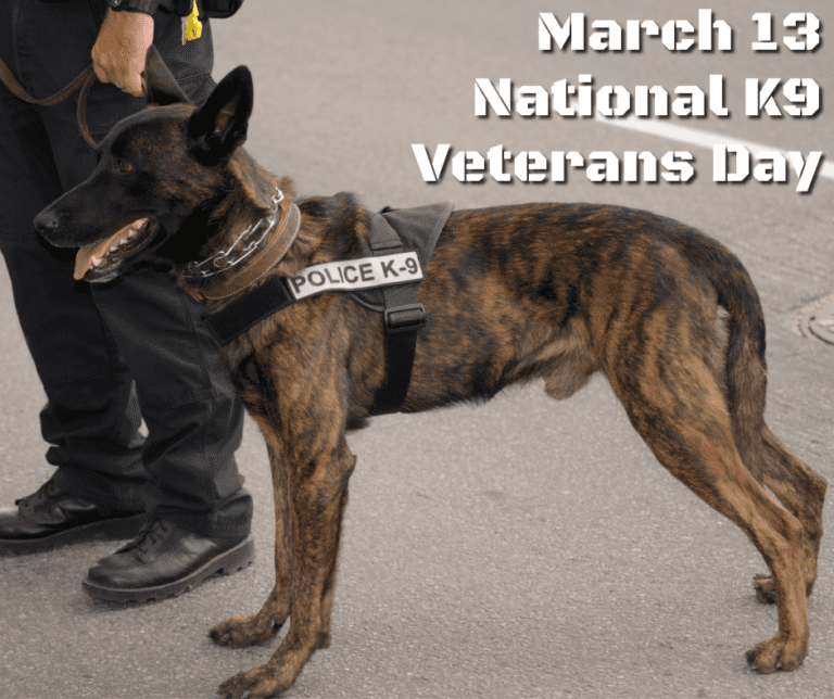 National K9 Veterans Day: We pay homage to our K9 Patriots.